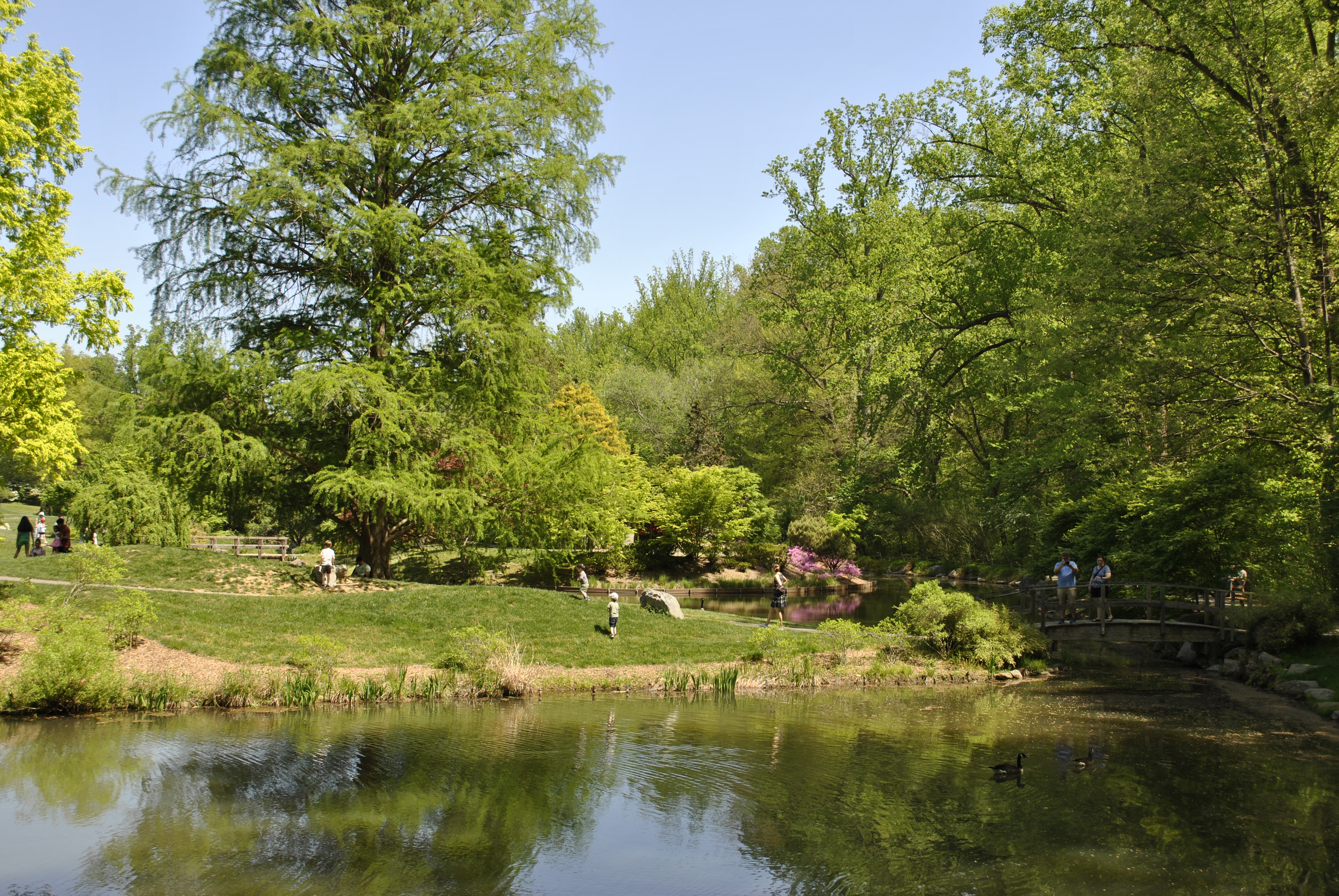Brookside Gardens